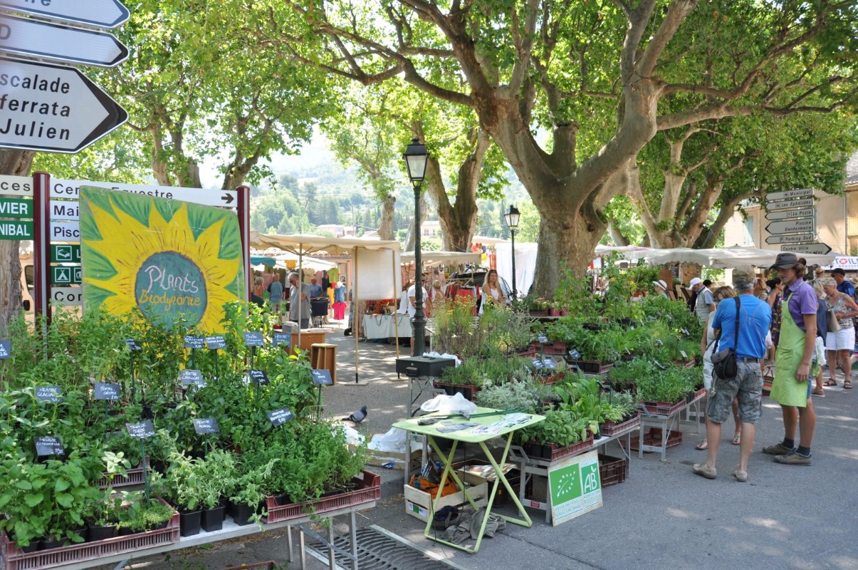 Marché Buis les Baronnies Marché Buis les Baronnies Vallée de la Méouge
